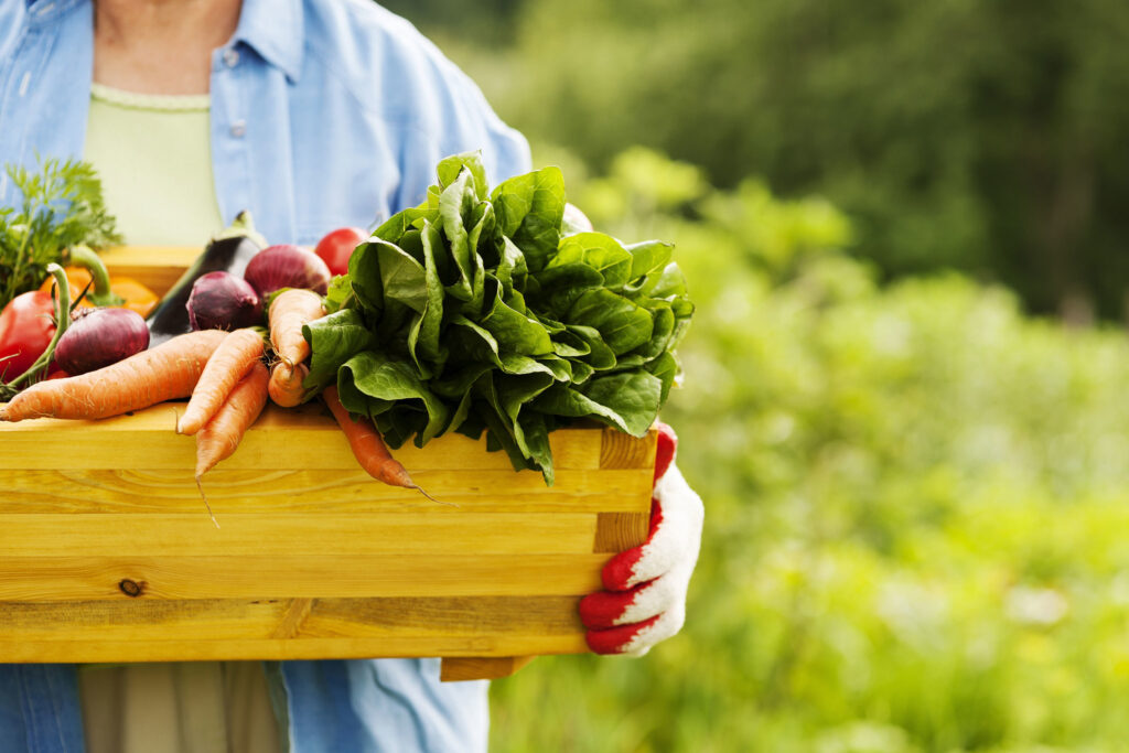 senior woman produce box 18184415